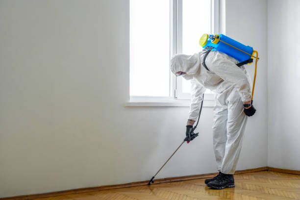 Best Bed Bug Extermination  in Saucier, MS